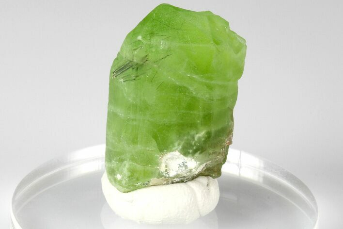 .9" Olivine Peridot Crystal with Ludwigite Inclusions - Pakistan